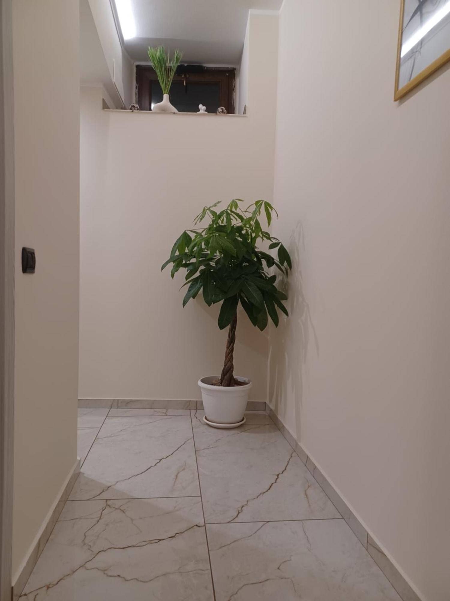Hotel Soleil Nicosia Zewnętrze zdjęcie
